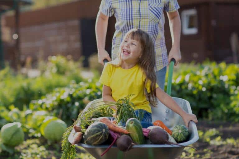 Alimentation-en-direct Famille chez le producteur